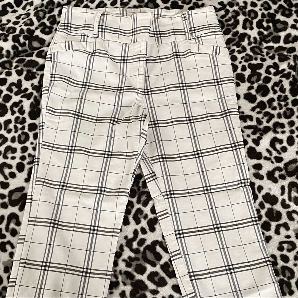White / Black lined Dressy pant